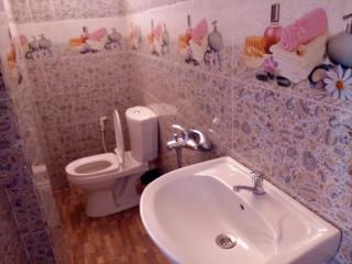 Mountain Top Guest - 2