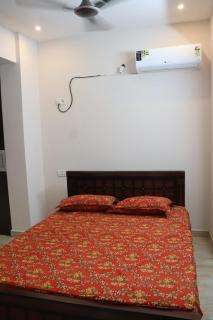 Green Carpet Tulip - 3