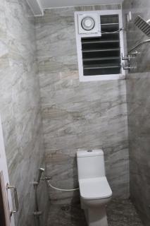 Green Carpet Tulip - 1