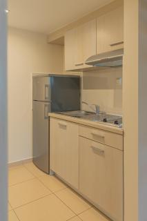 Fani Luxury Apartments Stavros - 8