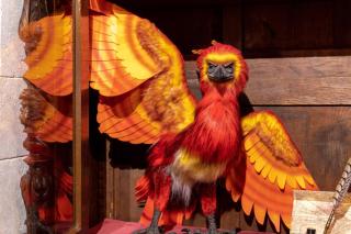 "appartementdusorcier" Magique expérience & Parking - 6