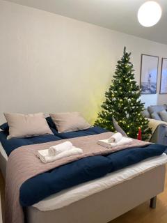 Arctic Dreams Apartment - 2