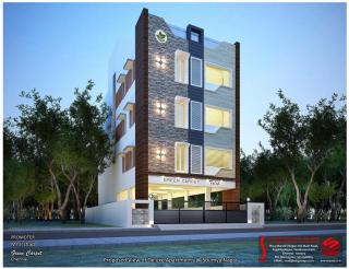 Green Carpet Tulip - 0