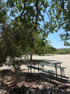 Tiny House - Pereiro - 5