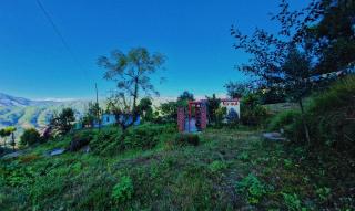 Far out Homestay - 9