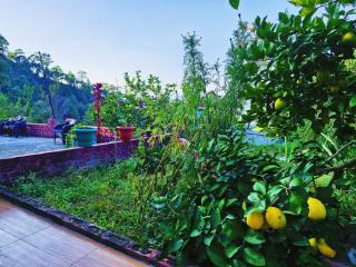 Far out Homestay - 7