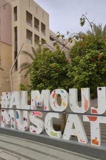 Al Mouj Marina Apartment with Pool & Beach Access - 8