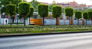 Titaru House in the city center of Budapest - 2