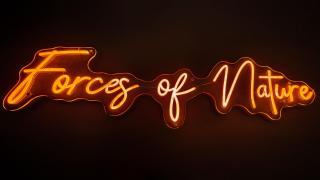 Wellness Tuin - Ultieme Partner Beleving - Privé Wellness Vakantiehuis met Privé Jacuzzi in Privé tuin, Privé Indoor Sauna en Privé Indoor Stoomcabine in Koloniale Stijl - Gratis Fles Prosecco & Leuke Partner Connect Box ! - 3