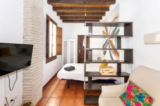 Apartamentos centro historico a los pies de la Alhambra - 7