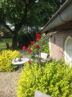 Klein Groenbergen - 2