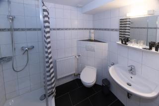 Goldiger Hirsch B&B mit Gemeinschaftsküche - 3