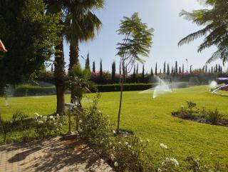 Domain The blaze - 5