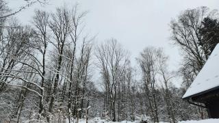 Tavba -Gočár až 27 osob, 8 apartmánů,8 koupelen, 8 kuchyní na kraji lesa - 0