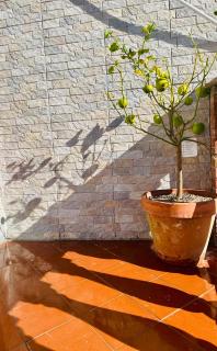 La Casa Del Nonno - 7