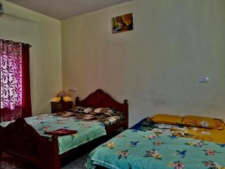 Vian Homestay - 3