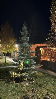 Msho Amrov Restoran - 4