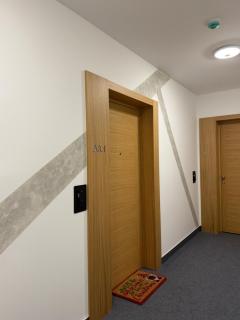 Privatni Apartman A31 Vučko Aparthotel - 4