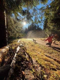 Ferienhaus Robin - 5