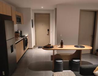 Polanco Loft México City - 7