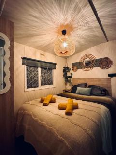 Cozy Mobile Home 'Tante Truus' met privé infrarood sauna - Recreatiepark 't Veluwshof - VELUWE - 2