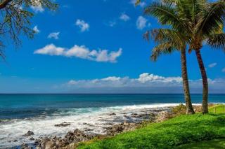 Napili Point A8 · NP A8 OceanFront 1BD Condo w Ocean Views AC Po - 2