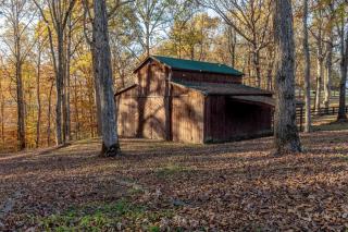 Leipers Retreat Family Gathering & Artist Retreat - Leipers Fork - 2