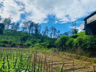 Nine arch echo villa ella - 2