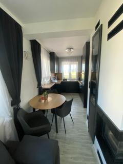 Dom Michałki Luksusowa willa z ogrodem - 6