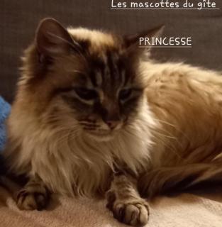 Au gîte de Saint Peyre - 9