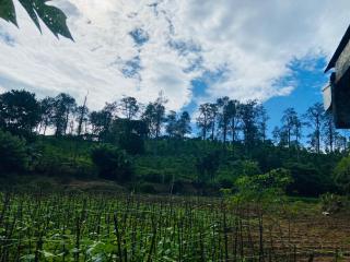 Nine arch echo villa ella - 6