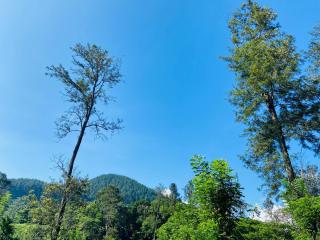 Nine arch echo villa ella - 8