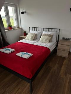 Dom Michałki Luksusowa willa z ogrodem - 9