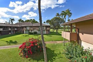 Eldorado J209 · EL J209 Spacious Studio w AC Pool and Beach Caba - 4