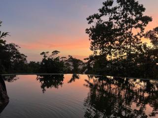 Palabaddala Tea and Eco Lodge - 7