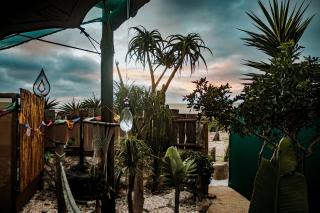 Gypsy Vans Weskus - 9