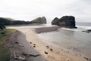 Self-catering Furnished Holiday Cottage to rent Coffee Bay - 6