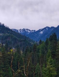 Cedarwood Cottage - 6