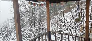 Ikigai homestay - Bashist - 3