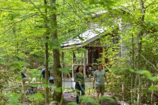Beech Timber- 30 Acre Secluded Glamping in RRG - 4