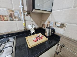 Modern Luxury 2-bedroom Apartment in New Cairo - 3