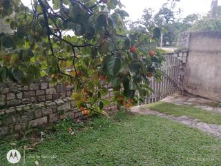 Casa Aconchegante em Miguel Pereira - 9