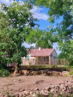 Vakantiehuisje in natuurzone van Barjac - 9