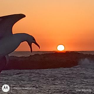 Maison d'hôtes Yasmine - 3