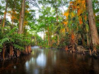 Upcycled Shipping Containers Transformed into a Glamping Home for a Unique Florida Vacation - 7