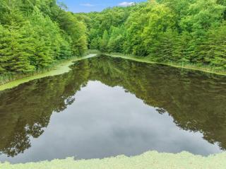 1 600 Acres Pool Pond Hidden Treasure RRG - 8