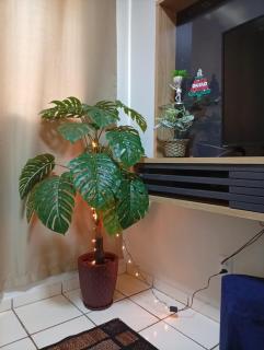 Apartamento Rainha Turquesa - 8