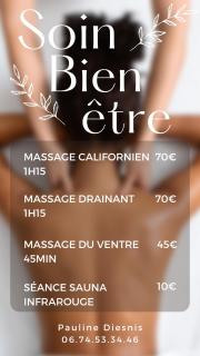 Studio isolated in a natural case - 8