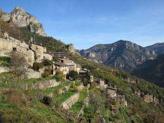 Studio isolated in a natural case - 6