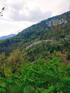 Studio isolated in a natural case - 3